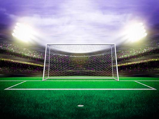 computer-generated goalmouth